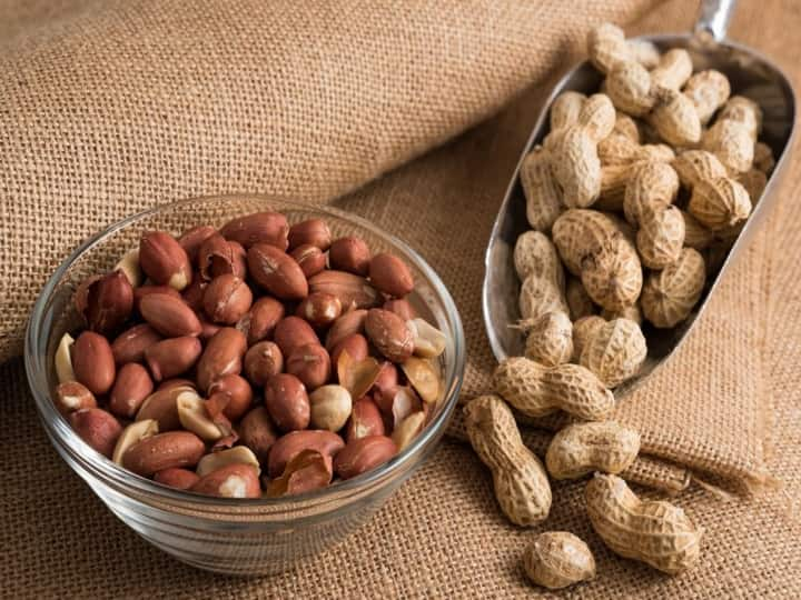 Health Tips : भुईमुगाला (Peanut) प्रथिने आणि फायबरचे भांडार म्हणतात.