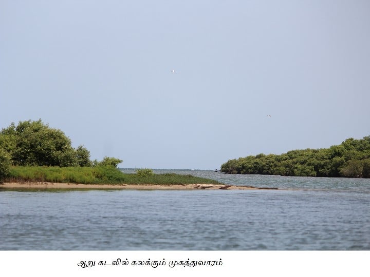 Karasankadu Tourist place in Ramanathapuram is a place of historical and ecological importance முற்கால சூழலை அறியச் செய்யும் காரங்காடு சுற்றுலா தளம் ஒரு சிறப்பு பார்வை...!