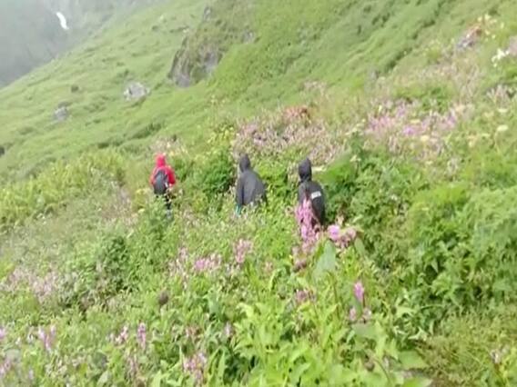 Valley of Flowers: विश्व धरोहर फूलों की घाटी में पर्यटकों के पहुंचने का नया रिकॉर्ड, 10 हजार सैलानी कर चुके हैं दीदार Valley of Flowers: विश्व धरोहर फूलों की घाटी में पर्यटकों के पहुंचने का नया रिकॉर्ड, 10 हजार सैलानी कर चुके हैं दीदार