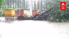 Aurangabad Rain : सोसाट्याचा वारा अन् मुसळधार पाऊस; औरंगाबादमध्ये पावसामुळं दाणादाण