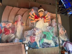 Durga Puja 2021: শরৎকালে নজর কোলাজে, চিত্রগ্রাহকদের শ্রদ্ধার্ঘ্য রাজডাঙা নব উদয় সঙ্ঘে