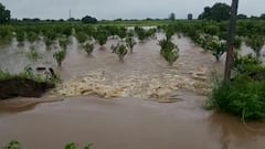 Latur Rain : लातूर जिल्ह्यातील पूरपरिस्थितीत नदीकाठच्या गावांनी सतर्क राहावे : जिल्हाधिकारी