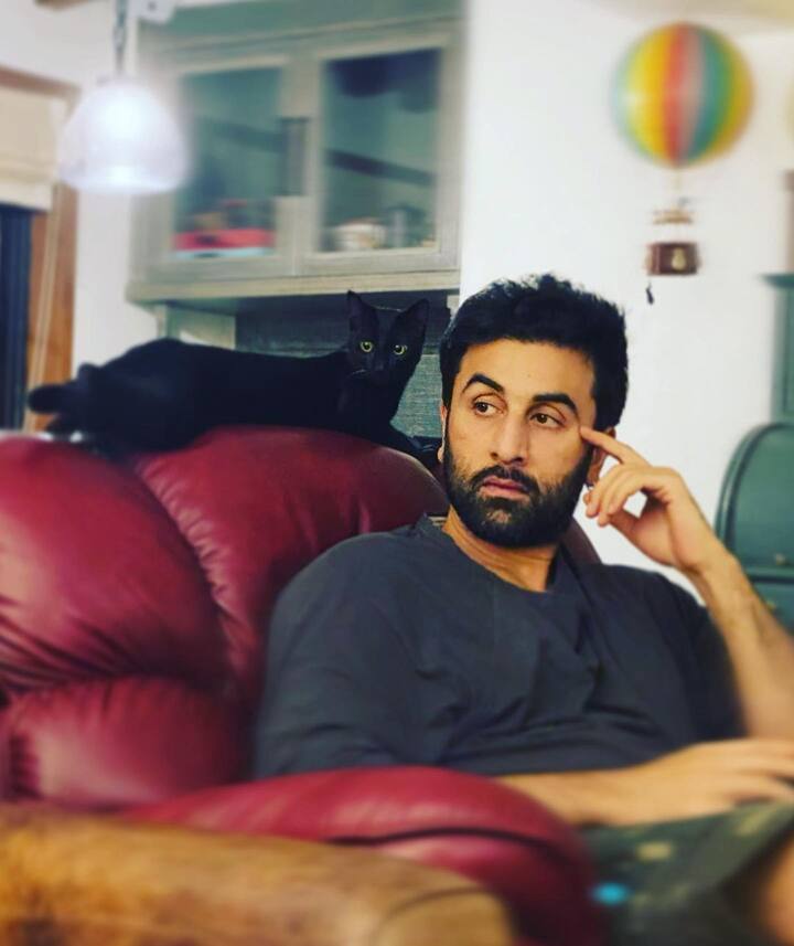 आलिया के अलावा उनकी बहन शाहीन भट्ट ने भी रणबीर कपूर की एक तस्वीर अपने इंस्टाग्राम पर शेयर करते हुए एक्टर को बर्थडे विश किया है.
