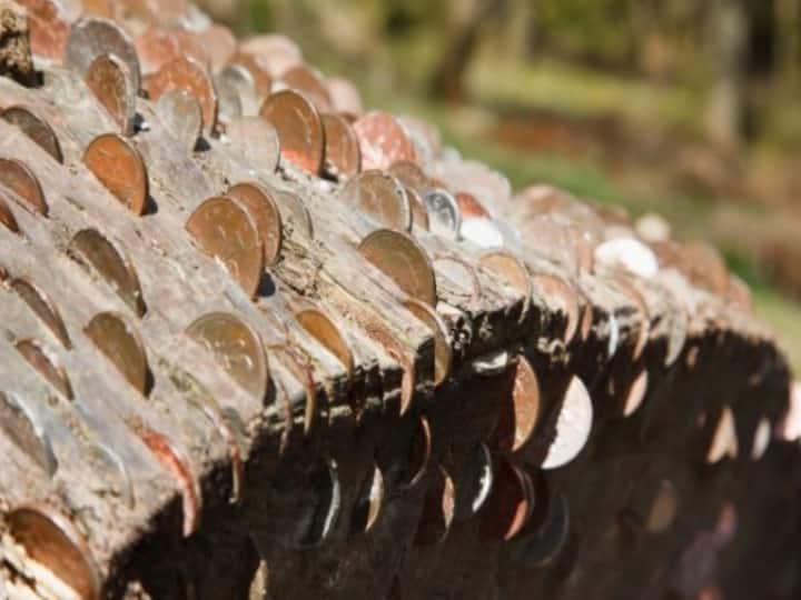 The story behind Britain’s mysterious coin trees Money Trees: ఆ ఊళ్లో చెట్ల నిండా నాణాలే... ఎవరైనా దొంగిలిస్తే కష్టాలే