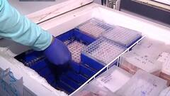 WEB EXCLUSIVE : लाखो कोविड रूग्णांचे पॅाझिटिव्ह सॅंपल अजूनही लॅबमध्ये ABP Majha