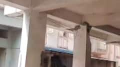 નવસારીઃ જર્જરિત ઈમારતમાંથી રહીશોને સુરક્ષિત બહાર ખસેડાયા, સ્લેબ જર્જરિત થતા બિલ્ડીંગ પડવાની શક્યતાઓ