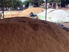 ਪੰਜਾਬ ਤੇ ਹਰਿਆਣੇ 'ਚ ਝੋਨੇ ਦੀ ਸਰਕਾਰੀ ਖਰੀਦ ਟਲੀ, ਕੇਂਦਰ ਨੇ ਚਿੱਠੀ 'ਚ ਦੱਸਿਆ ਇਹ ਕਾਰਨ