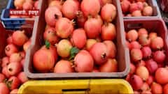 Special Report : इंदापूरच्या डाळिंबाचा बाजारात गोडवा... 22 एकरात मिळवलं लाखोंचं उत्पन्न ABP Majha