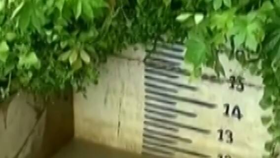 વડોદરામાં વરસાદી માહોલથી ઠેર-ઠેર ભરાયા પાણી, જુઓ ગુજરાતી ન્યુઝ