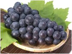 Health Care Tips: Black Grapes खाने से चेहरे की झुर्रियों से मिलता है छुटकारा, जानें इसके फायदे