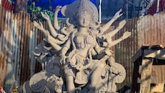 Durga Puja Preparation: ৯১-এ পদার্পণ হিন্দুস্থান পার্ক সর্বজনীনের, এবারের থিম 'উন্মোচন'