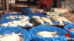 Digha: একের পর এক দুর্যোগের জের, দিঘা মোহনায় ইলিশ থাকলেও দেখা মিলছে না ক্রেতাদের | Bangla News