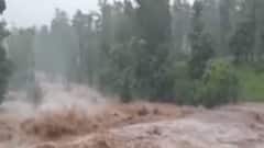 ડાંગ જિલ્લામાં ધોધમાર વરસાદ, નીચાણવાળા વિસ્તારોમાં ભરાયા પાણી