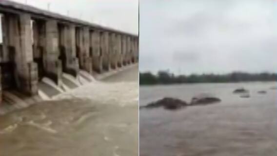 ભાવનગર: શેત્રુંજય ડેમના તમામ દરવાજા ફરી ખોલવામાં આવ્યા, જુઓ ગુજરાતી ન્યુઝ