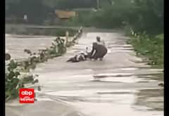 Amreli : પુલ પર ધસમસતા પાણીના પ્રવાહમાં બાઇક સાથે તણાયા ચાલક, જુઓ રેસ્ક્યુનો દીલધડક વીડિયો