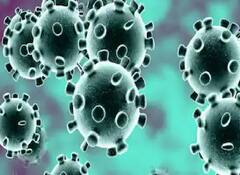 लॉन्ग कोविड के कारण हो सकती है नाक, कान और गले में परेशानी, स्टडी में हुआ खुलासा