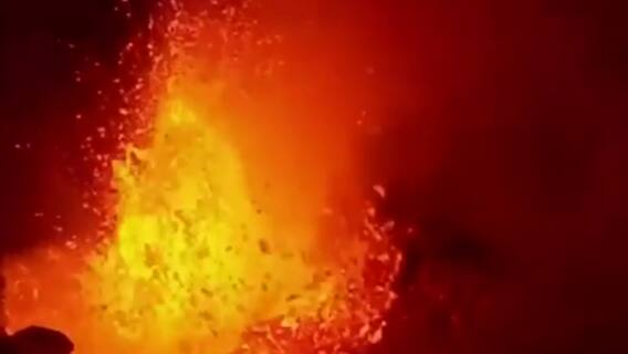 Top viral news videos of the day | Viral Express | 29 September 2021