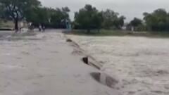 અમરેલી શહેર અને ગ્રામ્ય વિસ્તારોમાં ધોધમાર વરસાદ, કોઝવે પર ફરી વળ્યા પાણી, જુઓ ગુજરાતી ન્યૂઝ