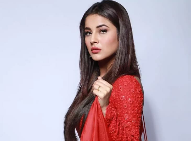 Honsla Rakh के डायरेक्टर का खुलासा, Shehnaaz Gill हर दम केवल Sidharth Shukla की बातें किया करती थीं