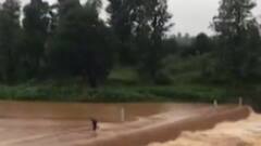 સાપુતારામાં પણ વરસાદી માહોલ જામ્યો, અંબિકા અને પૂર્ણા નદીમાં નવા નીરની આવક