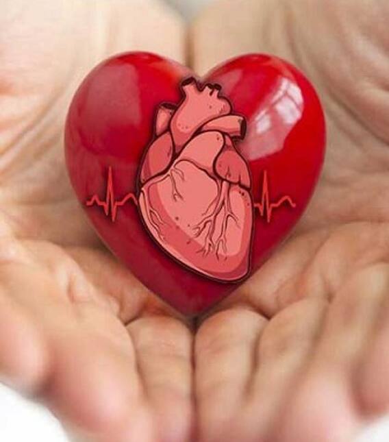 World Heart Day: இதயமே.. இதயமே! உலக இதய தினம் இன்று..! சில டிப்ஸ்!