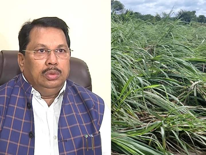 Wet drought will be declared in some districts of the Maharashtra Marathwada Important statement of Minister Vijay wadettiwar राज्यातील काही जिल्ह्यांमध्ये ओला दुष्काळ जाहीर केला जाणार? मंत्री विजय वडेट्टीवारांचं महत्वाचं वक्तव्य