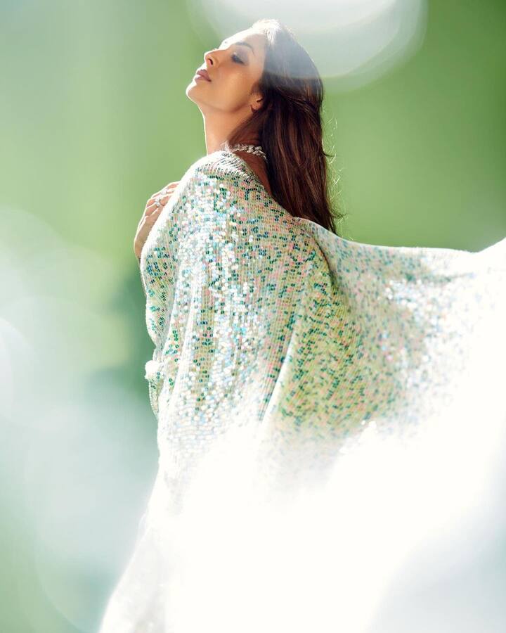 कॉकटेल पार्टियों से लेकर त्यौहारों तक, मनीष मल्होत्रा की साड़ियां लोगों के बीच काफी पॉपुलर हैं और हमारी बी-टाउन हसीनाएं ये बात अच्छी तरह से जानती हैं.