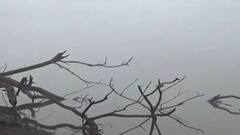 Sangali : दाटले रेशमी आहे धुके धुके... सांगली शहरावर धुक्याची दाट चादर