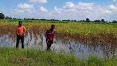 Parbhani : पीक विम्यासाठी परभणीतील 42 गावातील शेतकऱ्यांचा लढा यशस्वी; हायकोर्टाचा विमा कंपनीला दणका