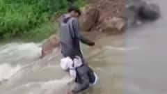 દ્વારકાઃ જીવના જોખમે પુલ પાર કરતા એક વૃદ્ધ તણાયા, વૃદ્ધનો થયો આબાદ બચાવ