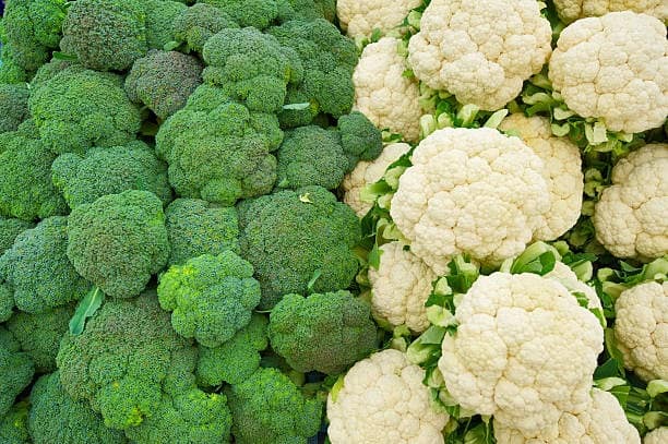 firm offers rs 63 lakh annual package to pick cabbage and broccoli know where is job ફુલાવર અને બ્રોકોલી તોડવા માટે વાર્ષિક 63 લાખ રૂપિયાનું પેકેજ, જાણો ક્યાં મળી રહી છે આ અનોખી નોકરી