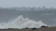 TOP 20: જૂનાગઢમાં ધોધમાર વરસાદે ખેતીના પાકને કર્યું ભારે નુકસાન, જુઓ મહત્વના સમાચાર