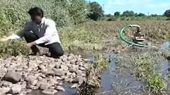 Marathwada Rain : मुख्यमंत्रीसाहेब हे वास्तव पाहाच! पिकांसह जमीन खरडून नेली, शेतकऱ्यांनी कसं सावरावं?