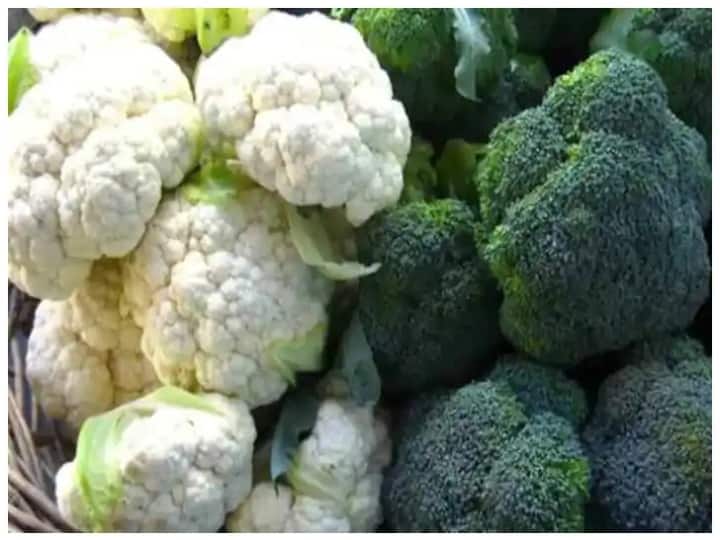 Firm offers Rs-63-lakh-annual-package-to-pick-cabbage-and-broccoli know where is job गोभी और ब्रोकोली तोड़ने के बदले सालाना 63 लाख पैकेज, जानिए कहां मिल रही है अनोखी नौकरी