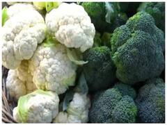 गोभी और ब्रोकोली तोड़ने के बदले सालाना 63 लाख पैकेज, जानिए कहां मिल रही है अनोखी नौकरी