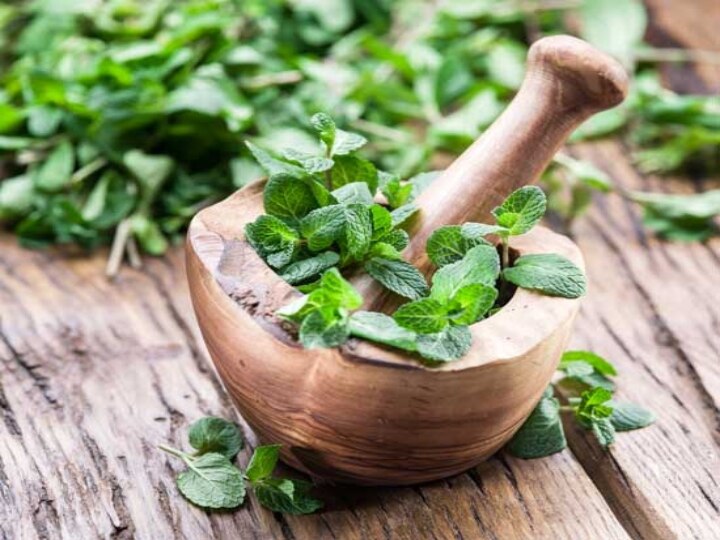 Mint Leaves Benefits: மாதவிடாய் பிரச்சனையா... புதினா போதும்!