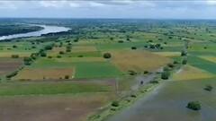 Parbhani Rain : परभणीत जिल्ह्यात शेतकऱ्यांना मोठा फटका, अडीच लाख हेक्टरवर नुकसान