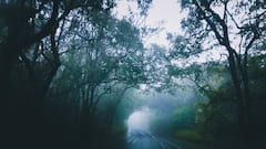 लोणावळा डोंगररांगेवर निसर्गसौंदर्याने नटलेला 'कोराईगड'