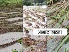 Marathwada Rain : अतिवृष्टीचा मराठवाड्याला मोठा फटका, तब्बल 476 कोटींचं नुकसान, 22 लोकांचा मृत्यू तर शेकडो जनावरं दगावली