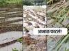 Marathwada Rain : अतिवृष्टीचा मराठवाड्याला मोठा फटका, तब्बल 476 कोटींचं नुकसान, 22 लोकांचा मृत्यू तर शेकडो जनावरं दगावली