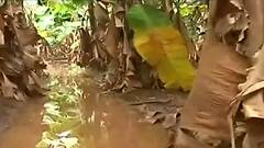 TOP 50 : पूरग्रस्त भागातील 80 टक्के पंचनामे पूर्ण, मंत्री वडेट्टीवारांची माहिती : बातम्यांचं अर्धशतक : 30 सप्टेंबर 2021