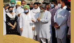 ਪੰਜਾਬ ਸਰਕਾਰ ਲਈ ਝੋਨੇ ਦੀ ਖਰੀਦ ਵੱਡੀ ਚੁਣੌਤੀ, ਭਾਰਤ ਭੂਸ਼ਨ ਆਸ਼ੂ ਵੱਲੋਂ ਸਖਤ ਹੁਕਮ ਜਾਰੀ