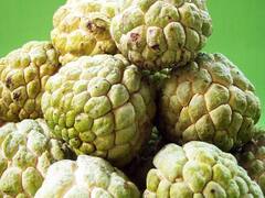 Custard Apple: సీతాఫలం... శీతాకాలం పండు... పోషకాల సమాహారం... అనారోగ్యాల నివారిణి