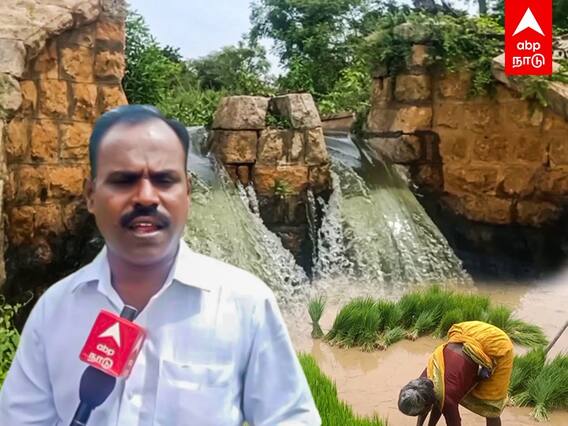 Madurai: 10க்கும் அதிகமானோரை பலிகொண்ட கால்வாய்!என்ன நடக்கிறது மதுரையில்?