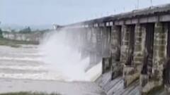 અમરેલી:અવિરત વરસાદના કારણે 9 ડેમમાં પાણીની ભરપૂર આવક, જુઓ ગુજરાતી ન્યુઝ