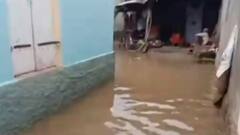 જૂનાગઢઃ વીજળી પડવાથી એક વ્યક્તિનું થયું મોત, ભારે વરસાદથી ગામોની સ્થિતિ કફોડી