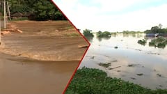 Flood Situation: 'অতি বিপজ্জনক' অজয়, আউশগ্রামে তিন গ্রামবাসীকে উদ্ধার করল NDRF| Bangla News