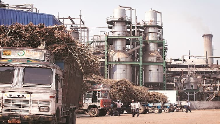Pandharpur Maharashtra Heavy Rain effect on Sugar mill Industry Maharashtra News Latest Updates Pandharpur: परतीच्या पावसाचा साखर उद्योगाला मोठा दणका, उसाच्या फडात पाणीच पाणी; हंगाम महिनाभर लांबणार