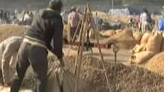 VCE કર્મચારીઓ પડતર માંગણીઓને કારણે ઉતારશે હડતાળ પર, જુઓ ગુજરાતી ન્યુઝ