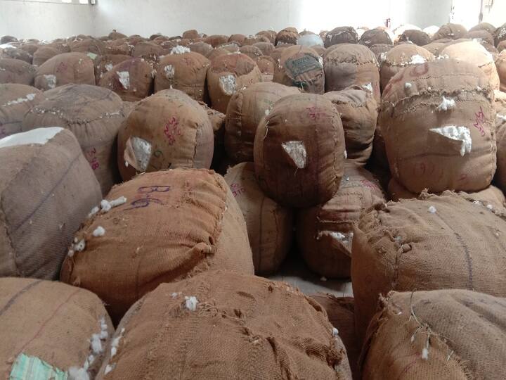 Cotton auction in Thiruvarur - maximum bid of Rs. 8,219 per quintal திருவாரூரில் நடைபெற்ற பருத்தி ஏலம் - அதிகபட்சமாக ஒரு குவிண்டால் 8,219 ரூபாய்க்கு ஏலம்
